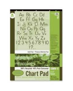 Ecology Chart Pad, 1 1/2in Ruled, 24in x 32in, Pad Of 70 Sheets