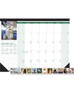 House of Doolittle Earthscapes Puppies Photo Desk Pad - Julian Dates - Monthly - 1 Year - January 2022 till December 2022 - 1 Day Single Page Layout - 22in x 17in Sheet Size - 2.88in x 2.25in Block - Desk Pad - White - Leatherette, Paper - 1 Each