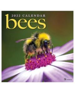 TF Publishing Animal Wall Calendar, 12in x 12in, Bees, January To December 2022