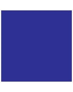 Tape Logic WriteOn Inventory Labels, DL638B, Square, 4in x 4in, Dark Blue, Roll Of 500