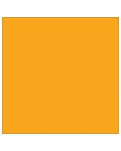 Tape Logic WriteOn Inventory Labels, DL638H, Square, 4in x 4in, Fluorescent Orange, Roll Of 500