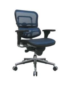 Raynor Ergohuman Mid-Back Ergonomic Mesh Chair, Blue/Chrome