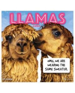 TF Publishing Animal Wall Calendar, 12in x 12in, Llamas, January To December 2022