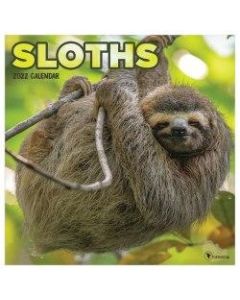 TF Publishing Animal Wall Calendar, 12in x 12in, Sloths, January To December 2022