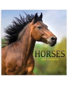 TF Publishing Animal Wall Calendar, 12in x 12in, Horses, January To December 2022